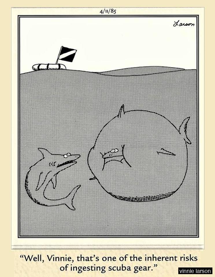 A random image — click for another